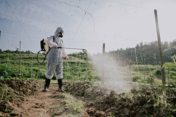 Best Mosquito Control Services  in Prieton, NC