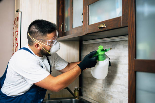 Best Termite Control Services  in Prieton, NC
