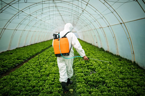 Best Local Pest Control Services  in Prieton, NC