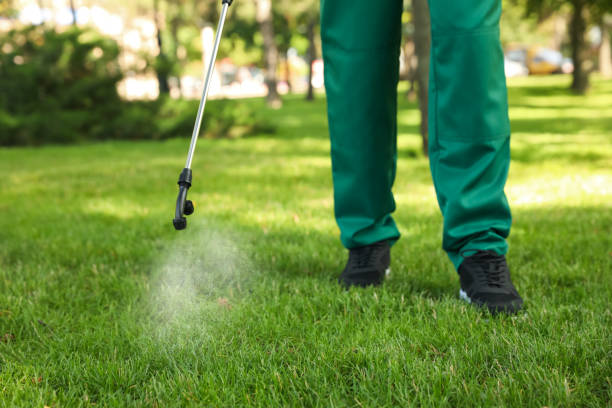 Best Emergency Pest Control  in Prieton, NC