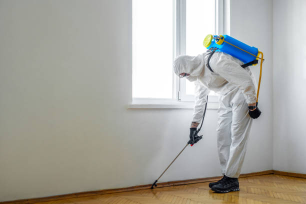 Best Flea Control Services  in Prieton, NC