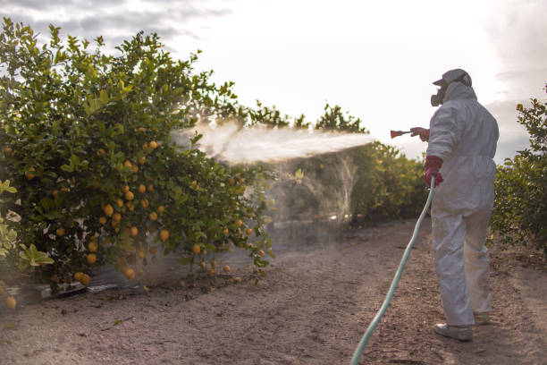 Best Residential Pest Control  in Prieton, NC