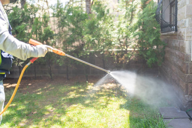Best Emergency Pest Control  in Prieton, NC