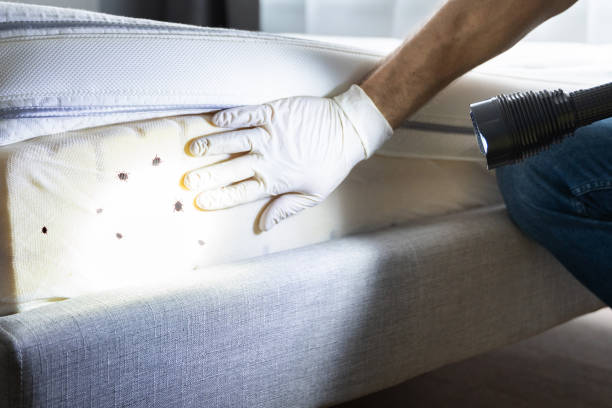 Best Pest Prevention Services  in Prieton, NC