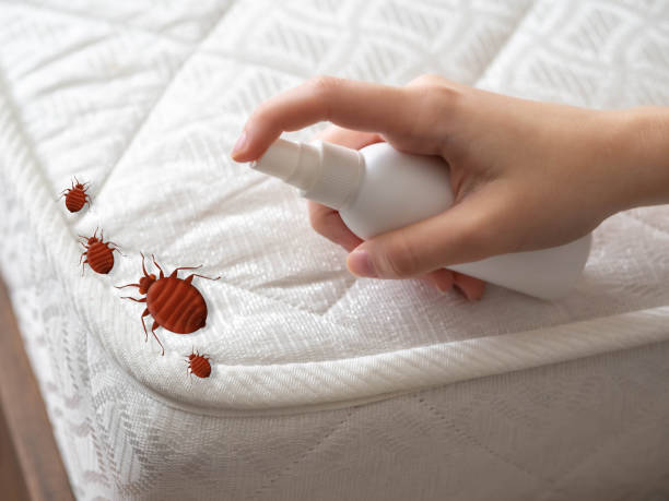 Best Pest Control Near Me in Princeton, NC
