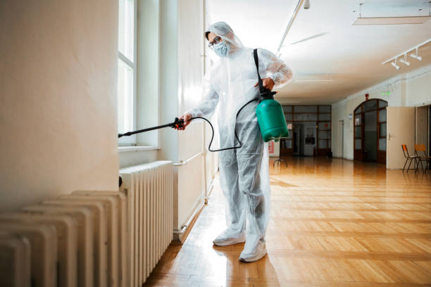 Best Rat Extermination Near Me  in Prieton, NC