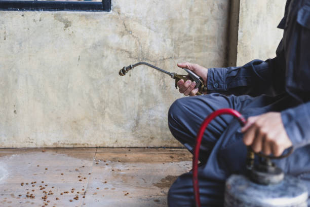 Best Termite Control Services  in Prieton, NC