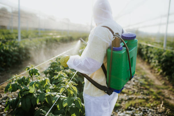 Reliable Princeton, NC Pest Control Solutions